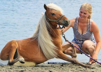 The fun spectacle of Spice Pistols parties at Brick by Brick