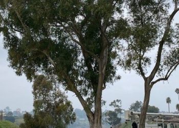 Amplified Ale Works announces crowdfunding campaign, expansion plans