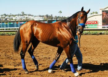 Google Fiber to explore bringing high speed Internet to San Diego