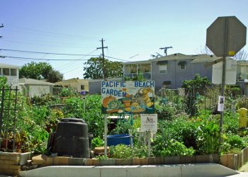 Stadium group picks Mission Valley as venue site