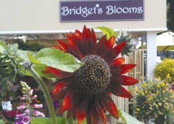 Bishop’s students gain valuable insights from a top foreign-policy leader