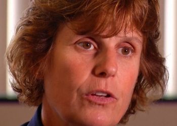 Sea lion strandings surpass 2,000 on California beaches