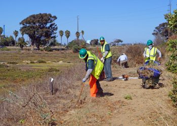 Unknown suspect wanted for arson in Ocean Beach, Point Loma