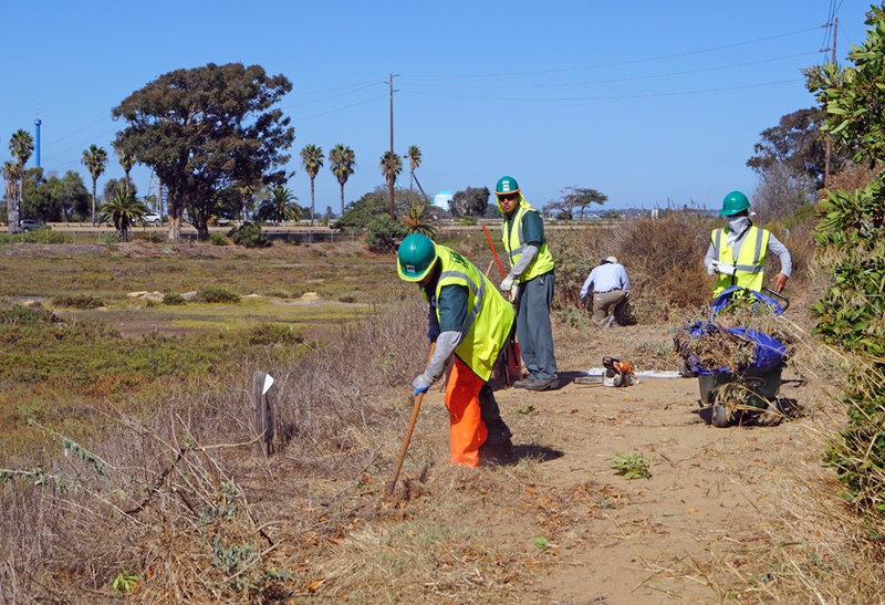 Correia Middle students, Urban Corps clean and restore Famosa Slough