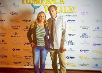 SeaWorld San Diego to shut down sea lion and otter shows