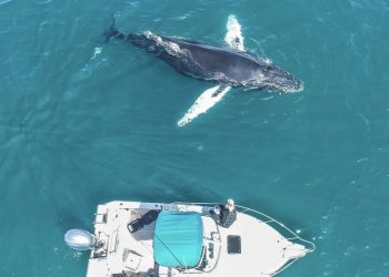 Mesa College Summer CRUISE program to serve record-breaking number of students