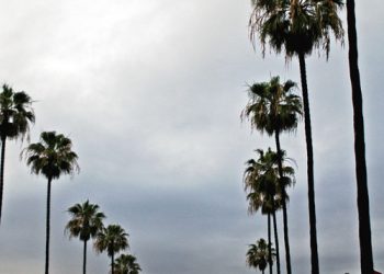 Humidity, flooding risk on tap as storms near