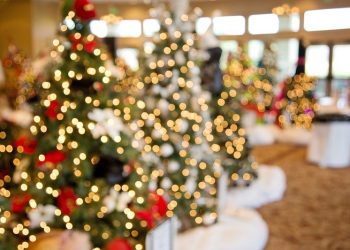 Young Pointers to play up-tempo basketball