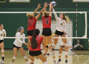 Gulls’ return to San Diego wins back former fan