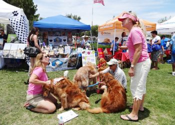 Music calendar: Too much fun