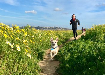 San Diego Community Newspaper Group acquires five newspapers