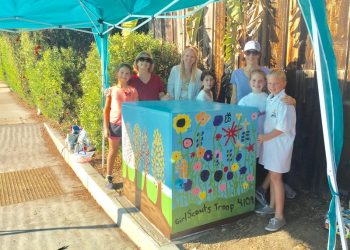 Parks and Beaches checks out new Cove Pavilion plans