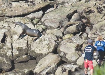 Must Hear: Project Trio