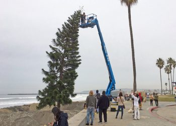 Regional agencies to vote that federal government must act on Tijuana River Valley