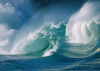 SeaWorld SD chief gets new appointment, will oversee firm's theme parks