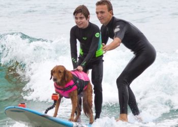 Hangin' 20: Ricochet surfs La Jolla Shores on mission to save lives