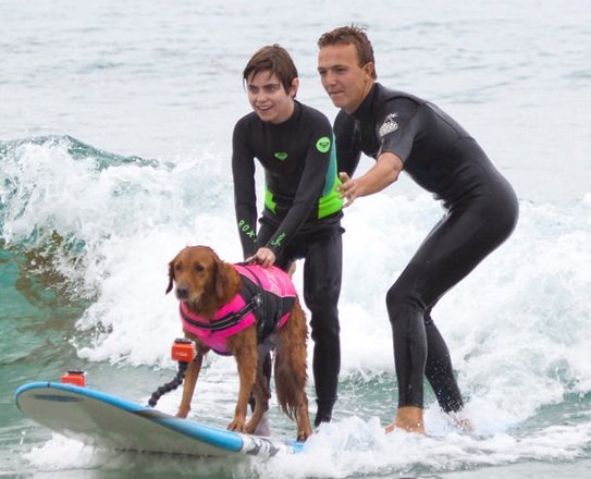 Hangin' 20: Ricochet surfs La Jolla Shores on mission to save lives