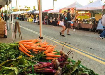 Bucs softball and baseball make final playoff pushes