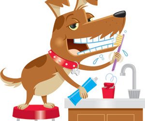 NEWSbriefs: Aug. 12, 2010