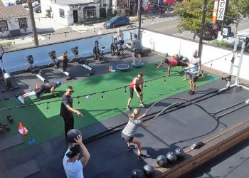 City’s preliminary plans underway to improve Capehart Dog Park in PB