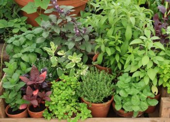 ‘Sister Act’ offers up a break from the real world