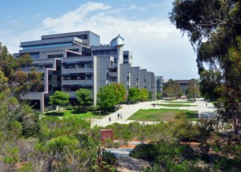 12 reportedly rescued from water, one hospitalized in Cove mishap