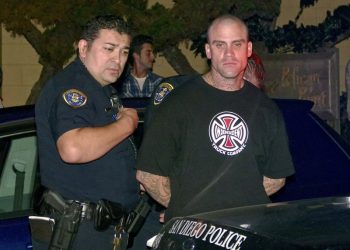 Ocean Beach’s Tech Pet Care goes the dog-sitters one better