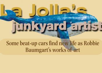 Tide Lines: There is a season — Tern! Tern! Tern!