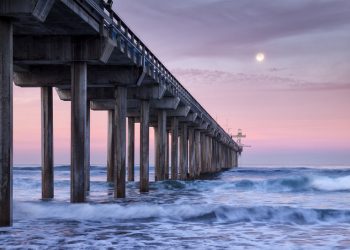 Isabella Rossellini brings environmental monologue ‘Link Link Circus’ to La Jolla