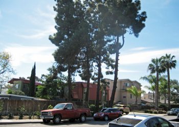 Sunday Sunset Cleanup brightens Ocean Beach