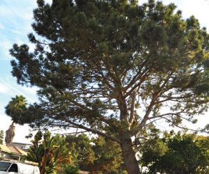 Fighter sets his sights on a world championship