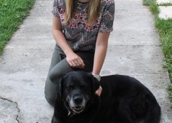 San Diego among 15 counties declared disaster areas amid wildfires