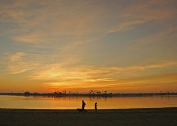 San Diego Community Newspaper Group earns 11 SD Press Club awards