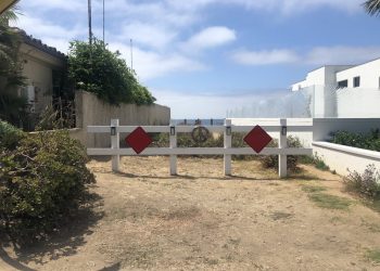 UC San Diego researchers convert pro-tumor macrophages into cancer killers