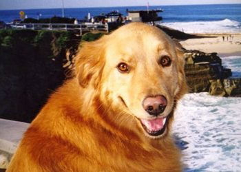 Coffee (and more) is brewing at Ooh La La Dance Academy