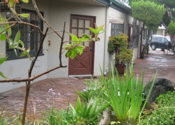 Getting there:: Merchants vote for plan to fund Cove waste clean-up