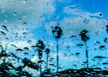 Queens of Boogie Woogie to play at Dizzy’s