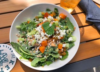 Is your pet ‘banner-worthy?’ Ocean Beach looking to celebrate local pets