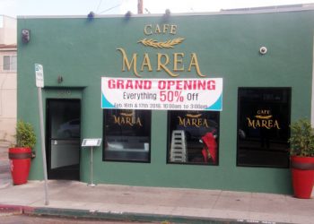 Mission Bay soccer teams continue netting wins