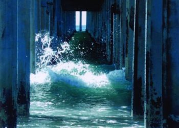 Purina to pit canines in surf competition in OB