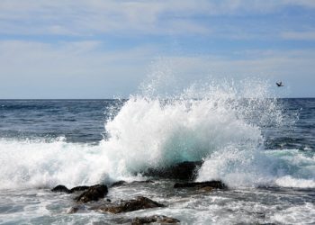 Karl Strauss and Amplified Ale Works create Pathway Ale for a good cause