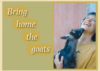 YMCA gymnasts heading to national championships