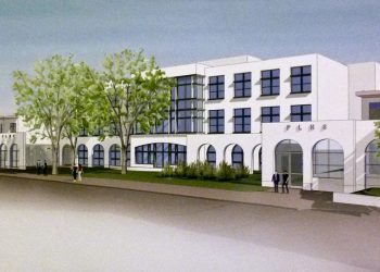 Dogs rescued from meat farm available for adoption