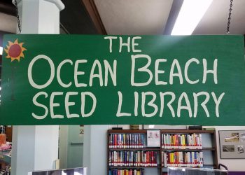 Spoken word artist Caroline Rothstein to perform at Lawrence Family JCC