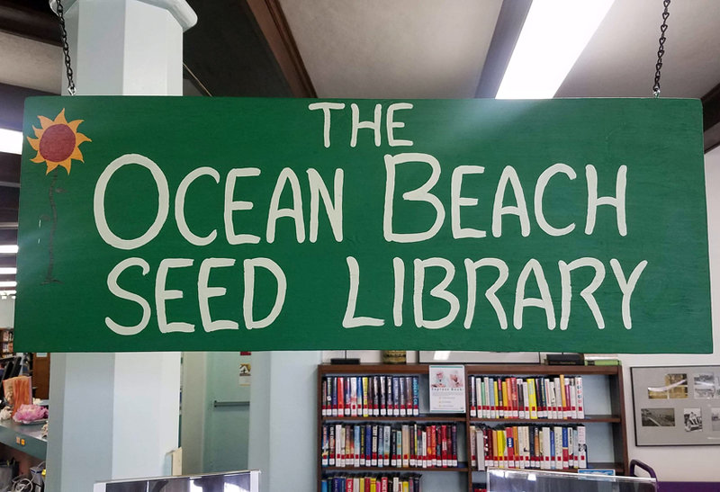 Planting the seeds of sustainable urban agriculture at OB Library