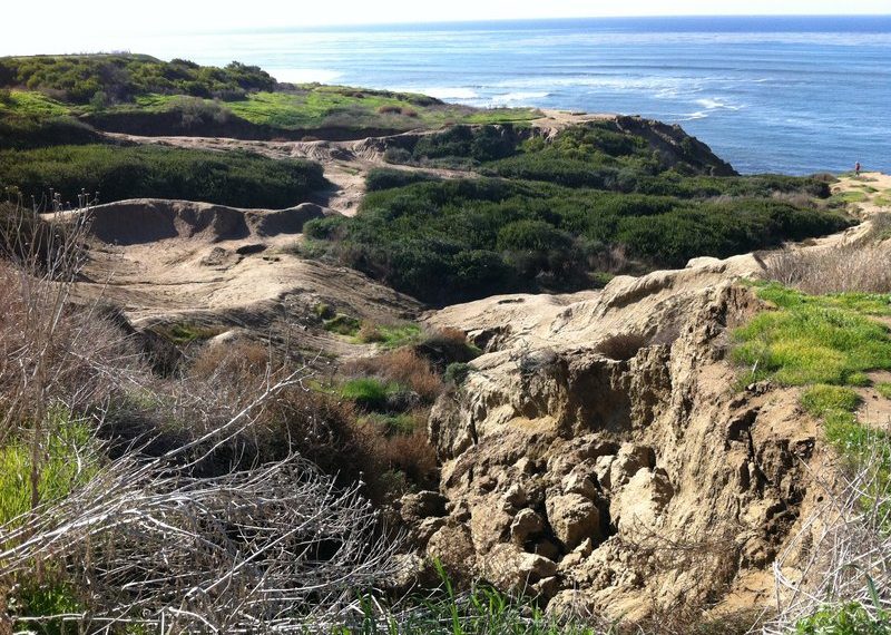 Grassroots workshops to help stem bluffs erosion