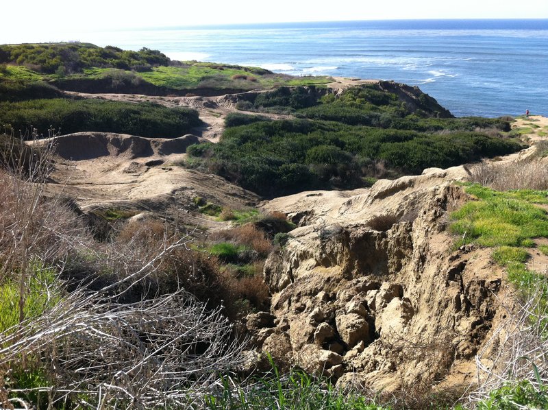 Grassroots workshops to help stem bluffs erosion