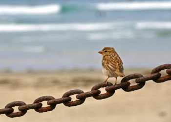 After five-year run and a pricey 2016 redesign, The Hake closes doors