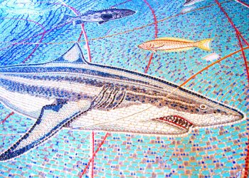 LIVE?MUSIC:?Free concert at Pacific Beach Library on Feb. 24