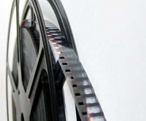 Q&A: Maloni talks about his experiences